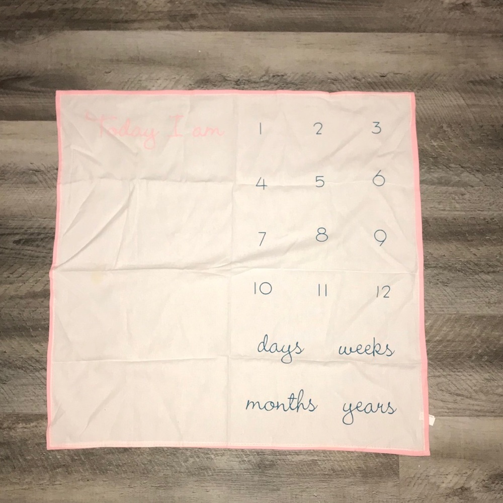 Baby’s milestone blanket